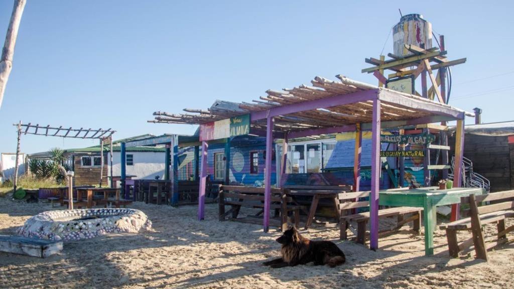 Lobo Hostel Bar Cabo Polonio Exterior photo